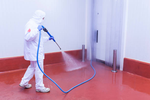 Pre-Holiday Cleaning in Mount Vernon, TX