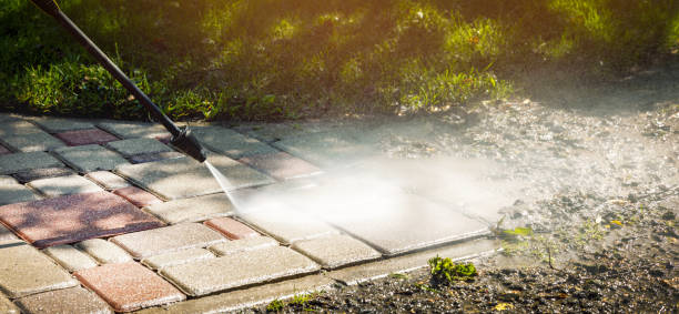 Best Dumpster Area Cleaning  in Mount Vernon, TX